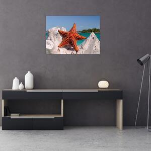 Egy tengeri csillag képe (70x50 cm)