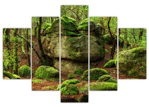 Egy varázslatos erdő képe (150x105 cm)