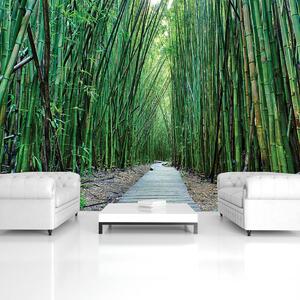 Fotótapéta - Bambusz (152,5x104 cm)
