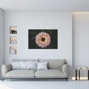 Narancsságra virág képe (90x60 cm)