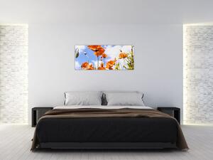 Pipacsok képe (120x50 cm)