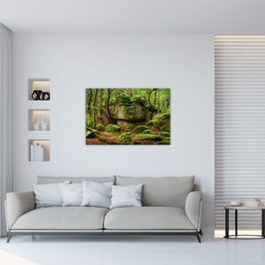 Egy varázslatos erdő képe (90x60 cm)