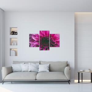 Rózsaszín virág képe (90x60 cm)