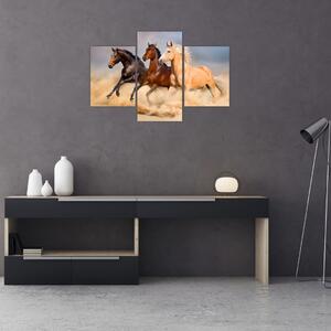 Kép - Vad lovak (90x60 cm)