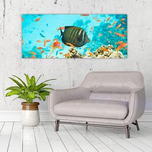 A víz alatti világ képe (120x50 cm)
