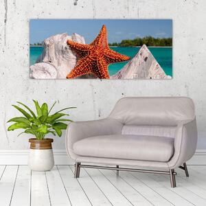 Egy tengeri csillag képe (120x50 cm)