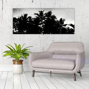 A fekete-fehér pálmafák képe (120x50 cm)
