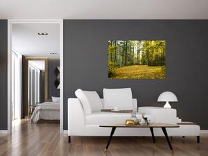 Kép - erdő ősszel (90x60 cm)
