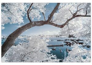 A víz mellett egy havas fa képe (90x60 cm)
