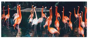 Flamingók csordája (120x50 cm)