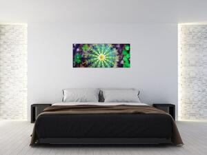 Kaktusz kép (120x50 cm)