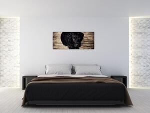 Egy fekete kiskutya képe (120x50 cm)