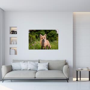 Egy róka képe (90x60 cm)