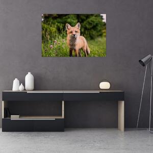 Egy róka képe (90x60 cm)