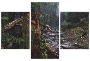 Kép - Az erdőben (90x60 cm)