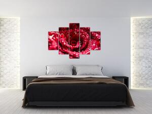 Vörös rózsa virágzata képe (150x105 cm)