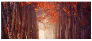Kép - őszi erdő (120x50 cm)