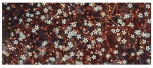 Erdei nefelejcs virág képe (120x50 cm)
