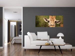 Egy zsiráf képe (120x50 cm)