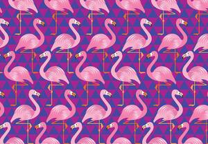 Fotótapéta - Flamingók (152,5x104 cm)