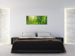 Kép - Tavaszi lomberdő (120x50 cm)