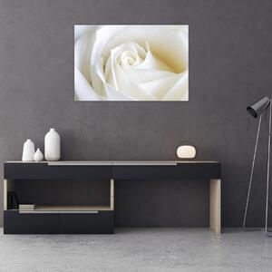 Egy fehér rózsa képe (90x60 cm)