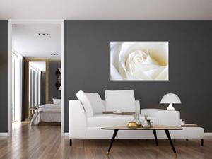 Egy fehér rózsa képe (90x60 cm)