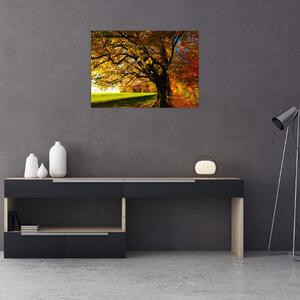 Az őszi kép (70x50 cm)