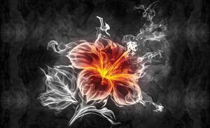 Fotótapéta - Virág - füst (152,5x104 cm)