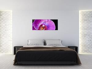 Részletes kép az orchidea virágról (120x50 cm)