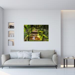 Lépcső az esőerdőben képe (90x60 cm)