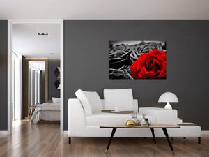 Kép - Rózsa virágok (90x60 cm)