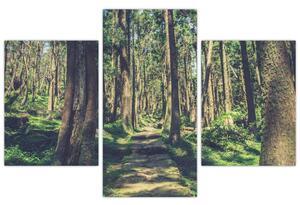 Kép egy út a fák között (90x60 cm)