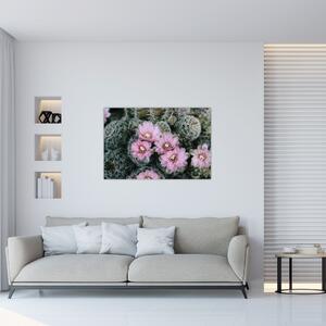 Kaktusz virágának képe (90x60 cm)