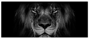 Kép - Az oroszlán és felsége (120x50 cm)