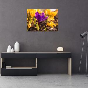 Lila virágok képe (70x50 cm)