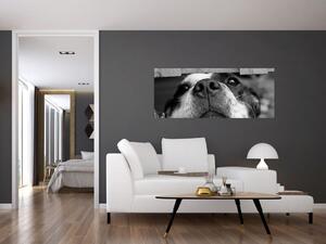 Kutya képe (120x50 cm)