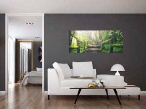 Kép - falépcsők az erdőben (120x50 cm)