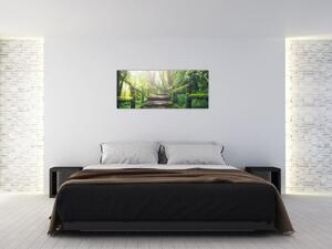 Kép - falépcsők az erdőben (120x50 cm)