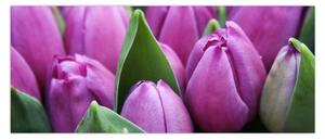 Kép - tulipánok (120x50 cm)