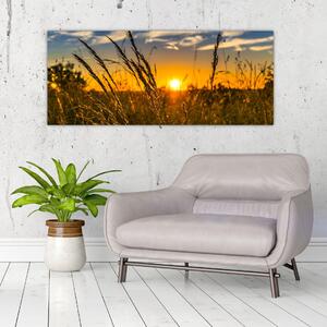 A mező naplementekor képe (120x50 cm)