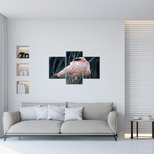 Kép - Flamingó (90x60 cm)