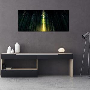 Sötét erdő képe (120x50 cm)