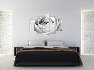 Kép - Rózsa virág részlete (150x105 cm)