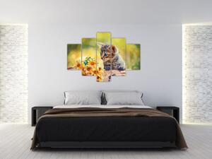 Macska képe ahogy a virágot nézi (150x105 cm)