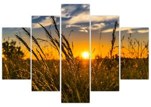 A mező naplementekor képe (150x105 cm)