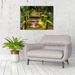 Lépcső az esőerdőben képe (70x50 cm)