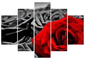 Kép - Rózsa virágok (150x105 cm)