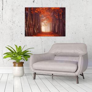 Kép - őszi erdő (70x50 cm)