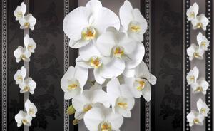 Fotótapéta - Virágok (152,5x104 cm)